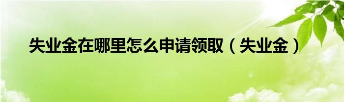 失业金在哪里怎么申请领取（失业金）