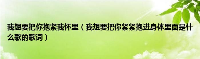 我想要把你抱紧我怀里（我想要把你紧紧抱进身体里面是什么歌的歌词）