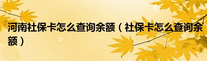 河南社保卡怎么查询余额（社保卡怎么查询余额）