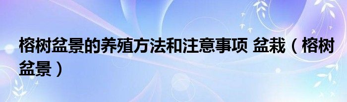 榕树盆景的养殖方法和注意事项 盆栽（榕树盆景）