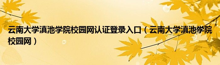 云南大学滇池学院校园网认证登录入口（云南大学滇池学院校园网）