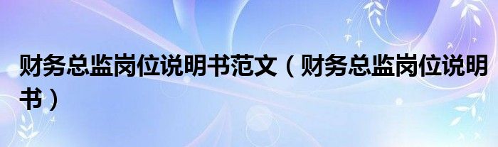 财务总监岗位说明书范文（财务总监岗位说明书）