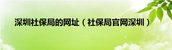 深圳社保局的网址（社保局官网深圳）