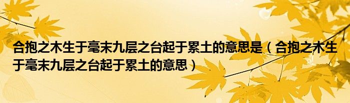 合抱之木生于毫末九层之台起于累土的意思是（合抱之木生于毫末九层之台起于累土的意思）