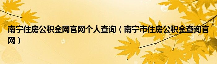 南宁住房公积金网官网个人查询（南宁市住房公积金查询官网）