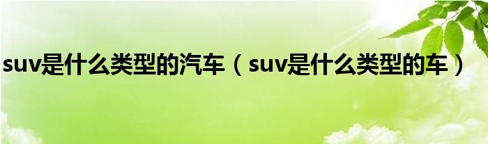 suv是什么类型的汽车（suv是什么类型的车）