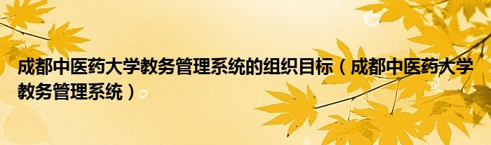 成都中医药大学教务管理系统的组织目标（成都中医药大学教务管理系统）