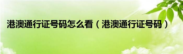 港澳通行证号码怎么看（港澳通行证号码）