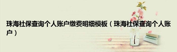 珠海社保查询个人账户缴费明细模板（珠海社保查询个人账户）