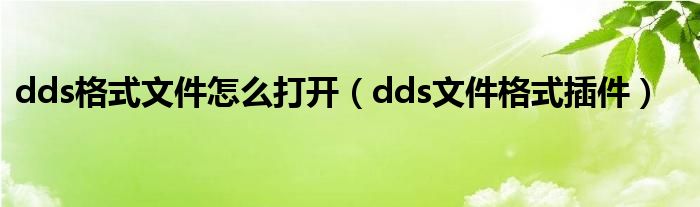 dds格式文件怎么打开（dds文件格式插件）