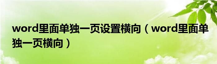 word里面单独一页设置横向（word里面单独一页横向）