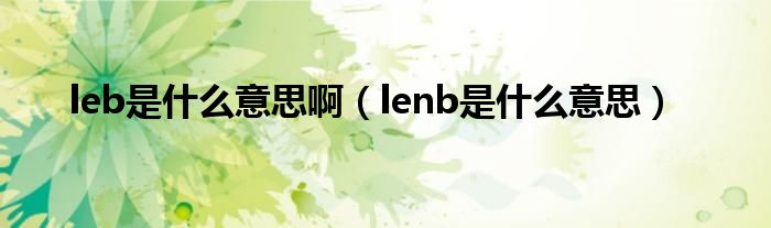 leb是什么意思啊（lenb是什么意思）