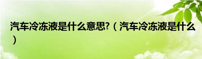 汽车冷冻液是什么意思?（汽车冷冻液是什么）