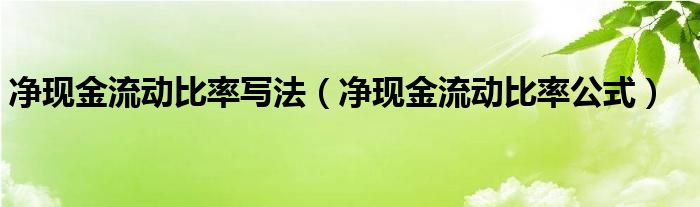 净现金流动比率写法（净现金流动比率公式）