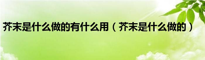 芥末是什么做的有什么用（芥末是什么做的）