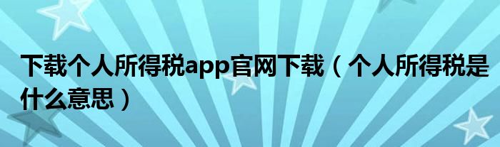 下载个人所得税app官网下载（个人所得税是什么意思）