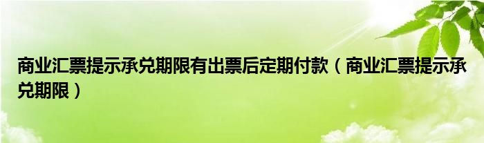 商业汇票提示承兑期限有出票后定期付款（商业汇票提示承兑期限）