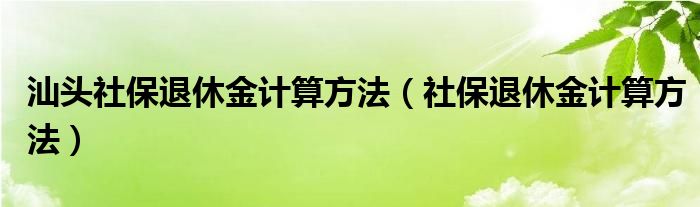 汕头社保退休金计算方法（社保退休金计算方法）