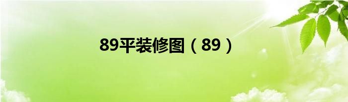 89平装修图（89）