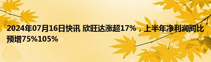 2024年07月16日快讯 欣旺达涨超17%，上半年净利润同比预增75%105%