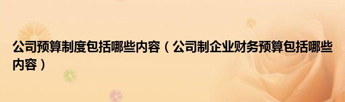 公司预算制度包括哪些内容（公司制企业财务预算包括哪些内容）