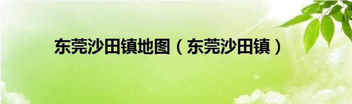 东莞沙田镇地图（东莞沙田镇）