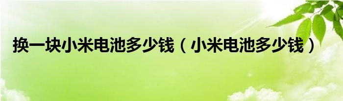 换一块小米电池多少钱（小米电池多少钱）