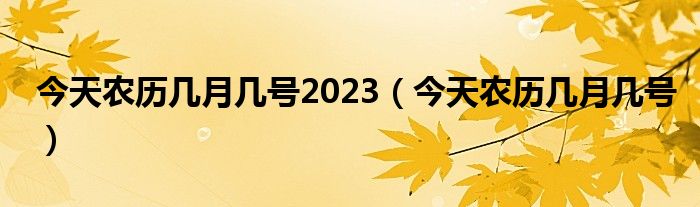 今天农历几月几号2023（今天农历几月几号）