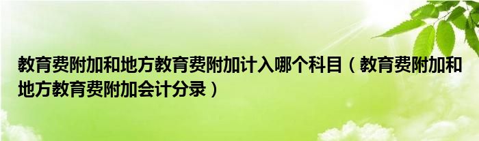 教育费附加和地方教育费附加计入哪个科目（教育费附加和地方教育费附加会计分录）