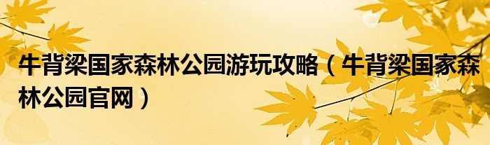 牛背梁国家森林公园游玩攻略（牛背梁国家森林公园官网）