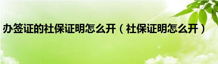 办签证的社保证明怎么开（社保证明怎么开）