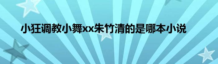 小狂调教小舞xx朱竹清的是哪本小说