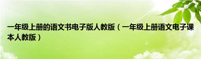 一年级上册的语文书电子版人教版（一年级上册语文电子课本人教版）