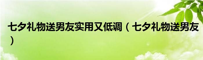 七夕礼物送男友实用又低调（七夕礼物送男友）