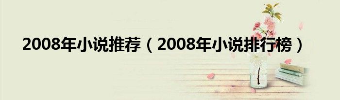 2008年小说推荐（2008年小说排行榜）