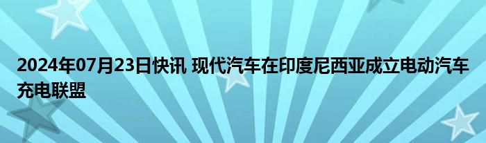 2024年07月23日快讯 现代汽车在印度尼西亚成立电动汽车充电联盟