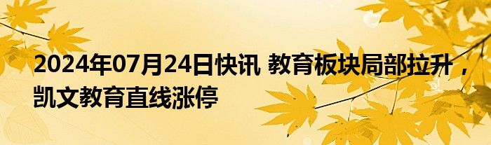 2024年07月24日快讯 教育板块局部拉升，凯文教育直线涨停