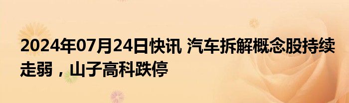 2024年07月24日快讯 汽车拆解概念股持续走弱，山子高科跌停