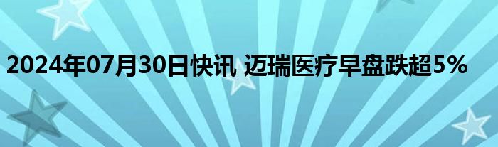 2024年07月30日快讯 迈瑞医疗早盘跌超5%