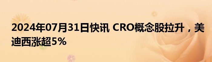 2024年07月31日快讯 CRO概念股拉升，美迪西涨超5%