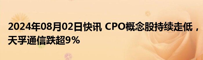 2024年08月02日快讯 CPO概念股持续走低，天孚通信跌超9%