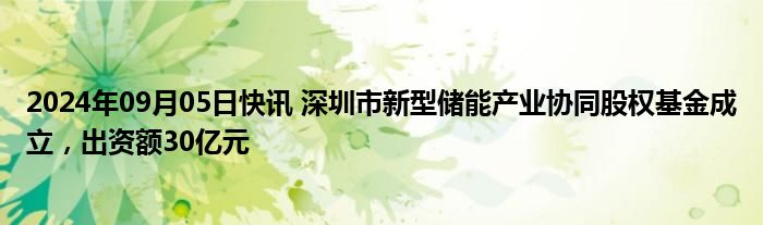 2024年09月05日快讯 深圳市新型储能产业协同股权基金成立，出资额30亿元