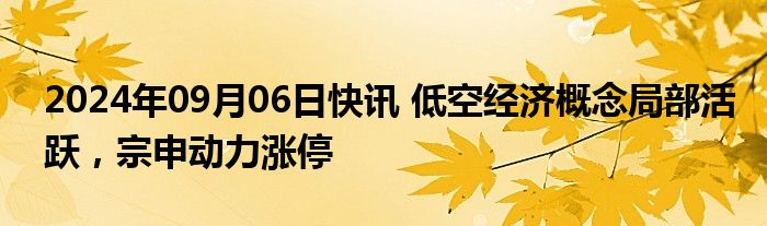 2024年09月06日快讯 低空经济概念局部活跃，宗申动力涨停