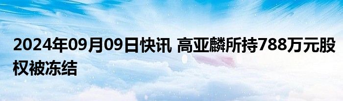 2024年09月09日快讯 高亚麟所持788万元股权被冻结