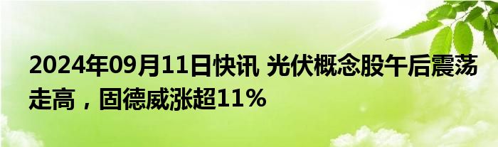 2024年09月11日快讯 光伏概念股午后震荡走高，固德威涨超11%