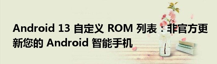 Android 13 自定义 ROM 列表：非官方更新您的 Android 智能手机