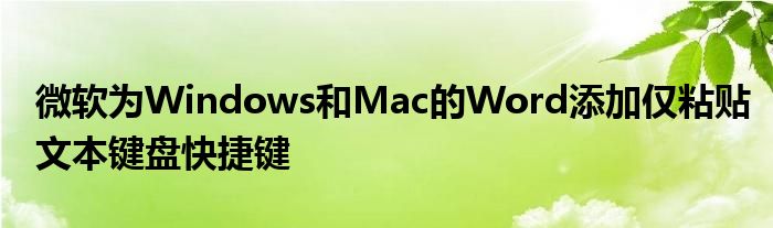 微软为Windows和Mac的Word添加仅粘贴文本键盘快捷键