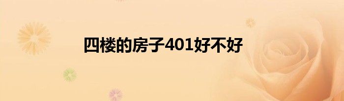 四楼的房子401好不好