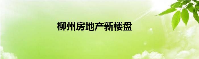 柳州房地产新楼盘