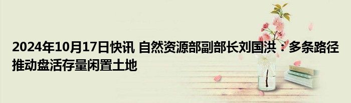 2024年10月17日快讯 自然资源部副部长刘国洪：多条路径推动盘活存量闲置土地